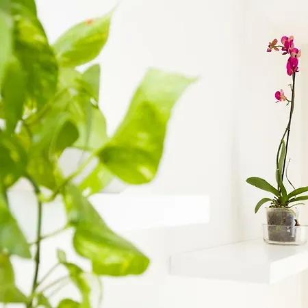 Charming In Pedregalejo Apartment *